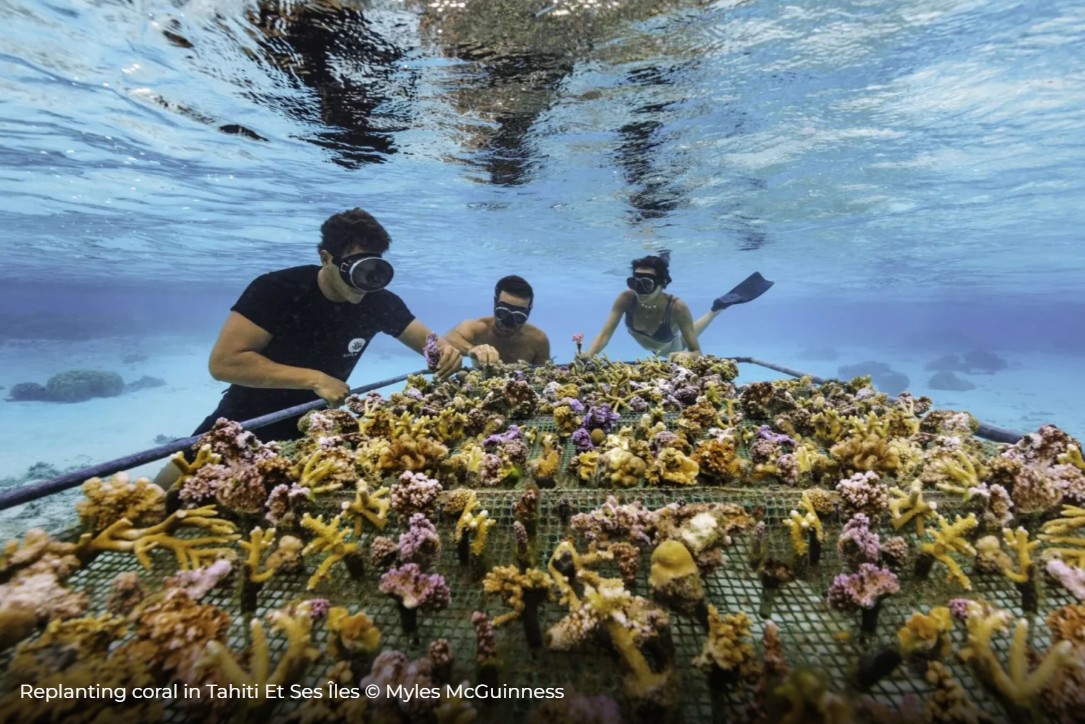 Sortie aux ‘Coral Gardeners’ 